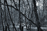 Bernhard Saalfeld - DSC00468 -1